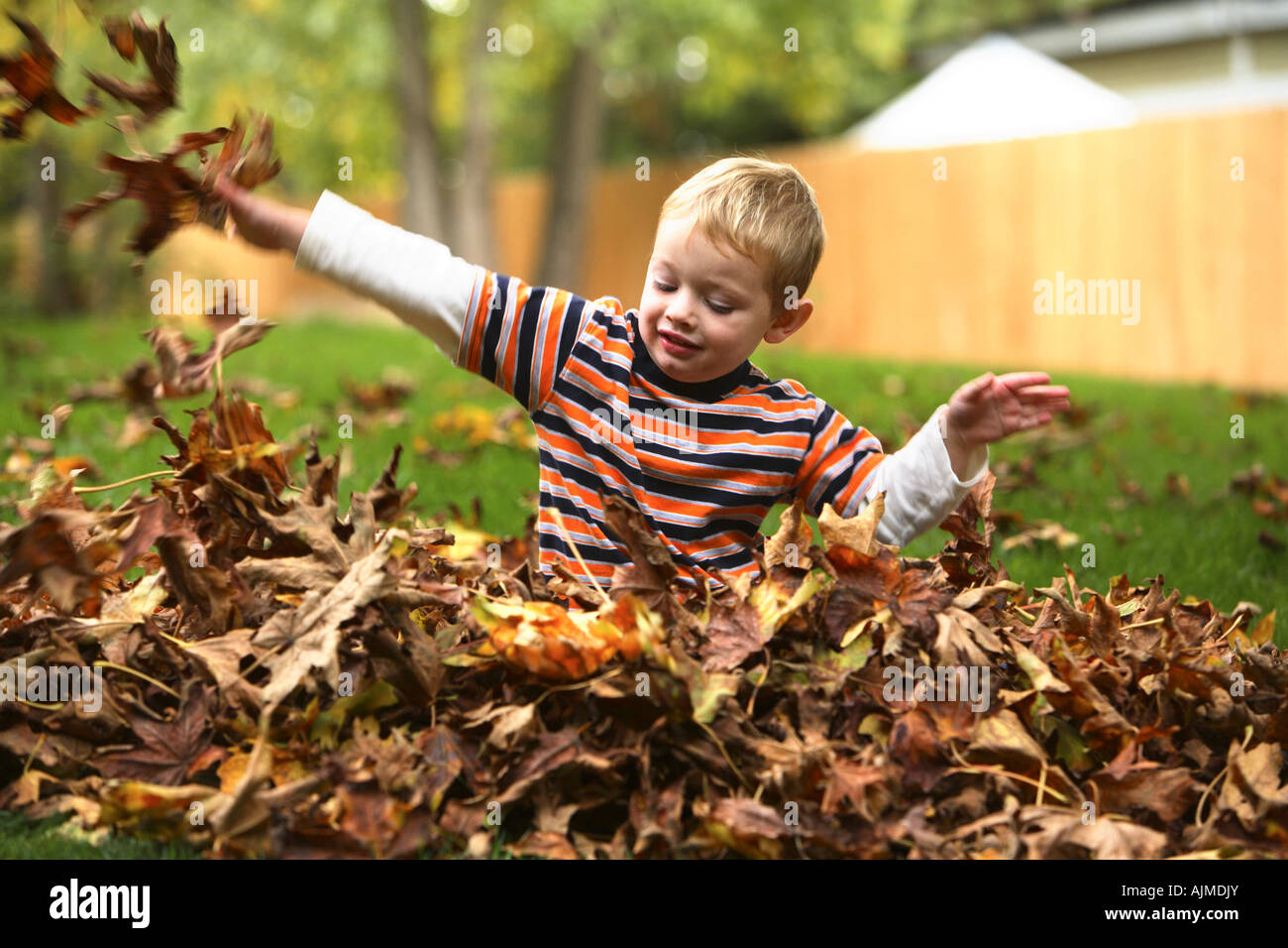 Three year old boy playing in pile of leaves Stock Photo