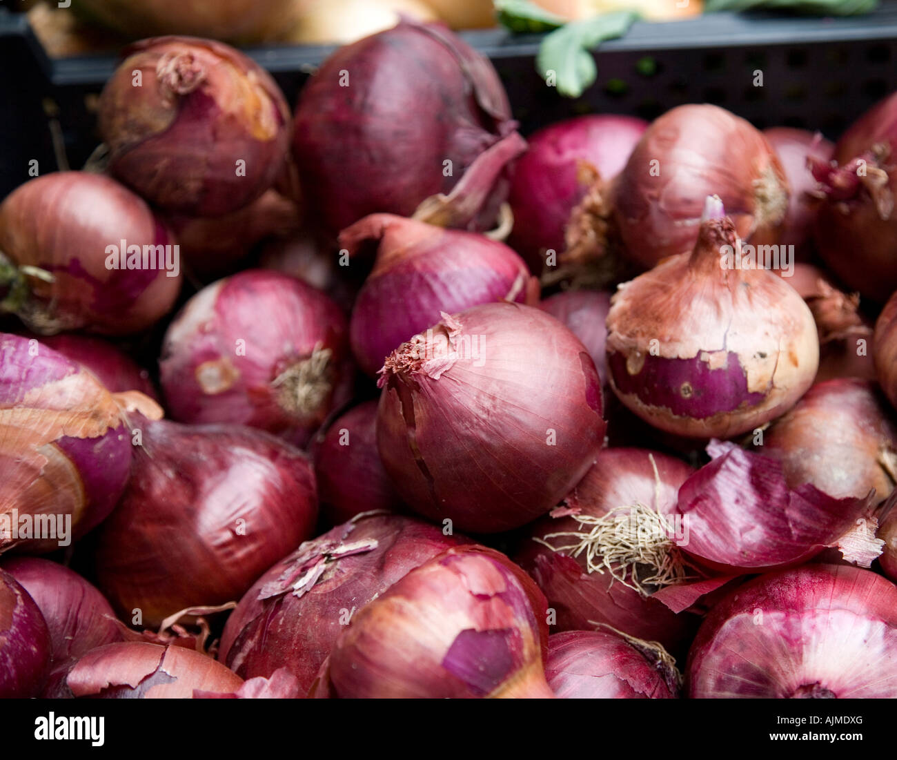 Farmers market onions hi-res stock photography and images - Alamy