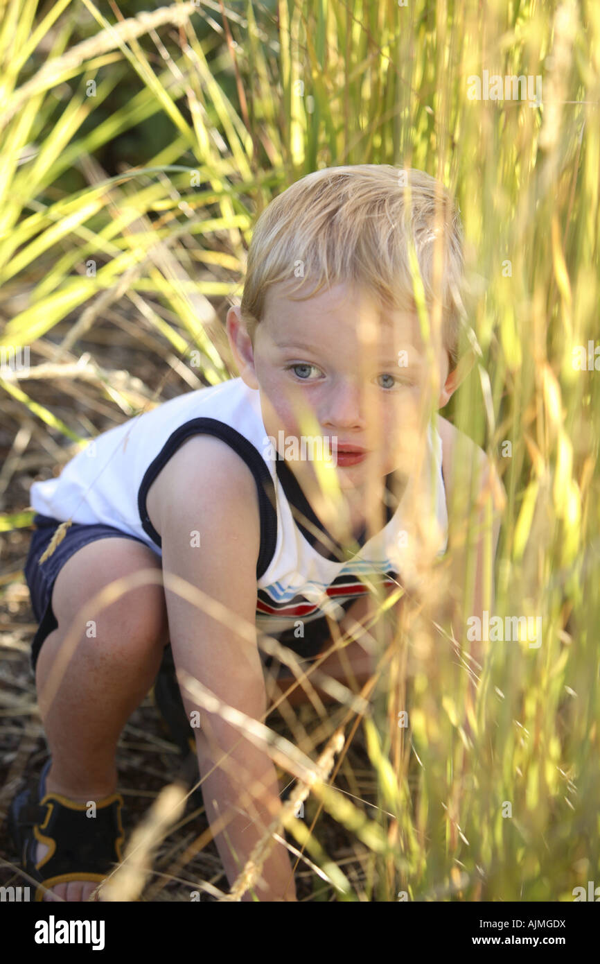 Young boy playing in tall grass Stock Photo