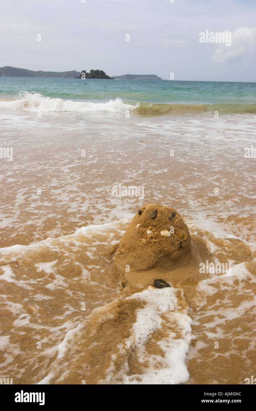 New Zealand Beach at Te Ngaire Te Ngaere Bay Stock Photo Alamy