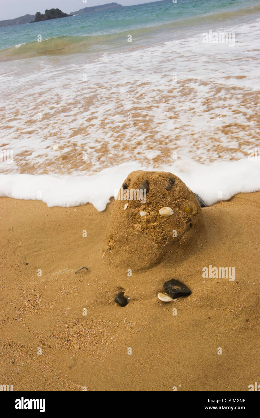 New Zealand Beach at Te Ngaire Te Ngaere Bay Stock Photo Alamy