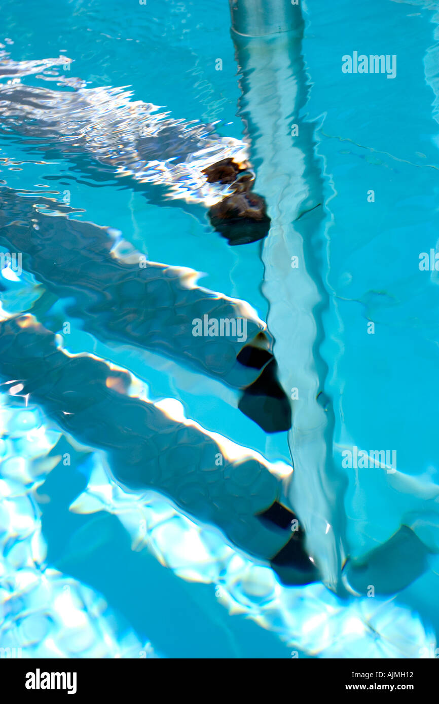 swimming pool steps under water Stock Photo Alamy