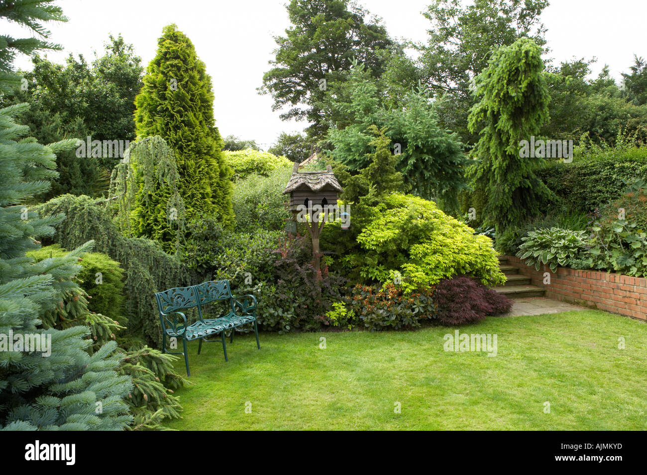 Blue bench with a range of conifers Stock Photo