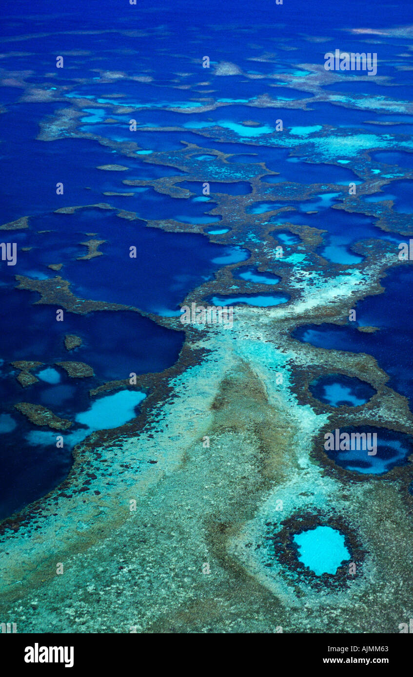 Coral reef, Abrolhos Islands, Western Australia Stock Photo