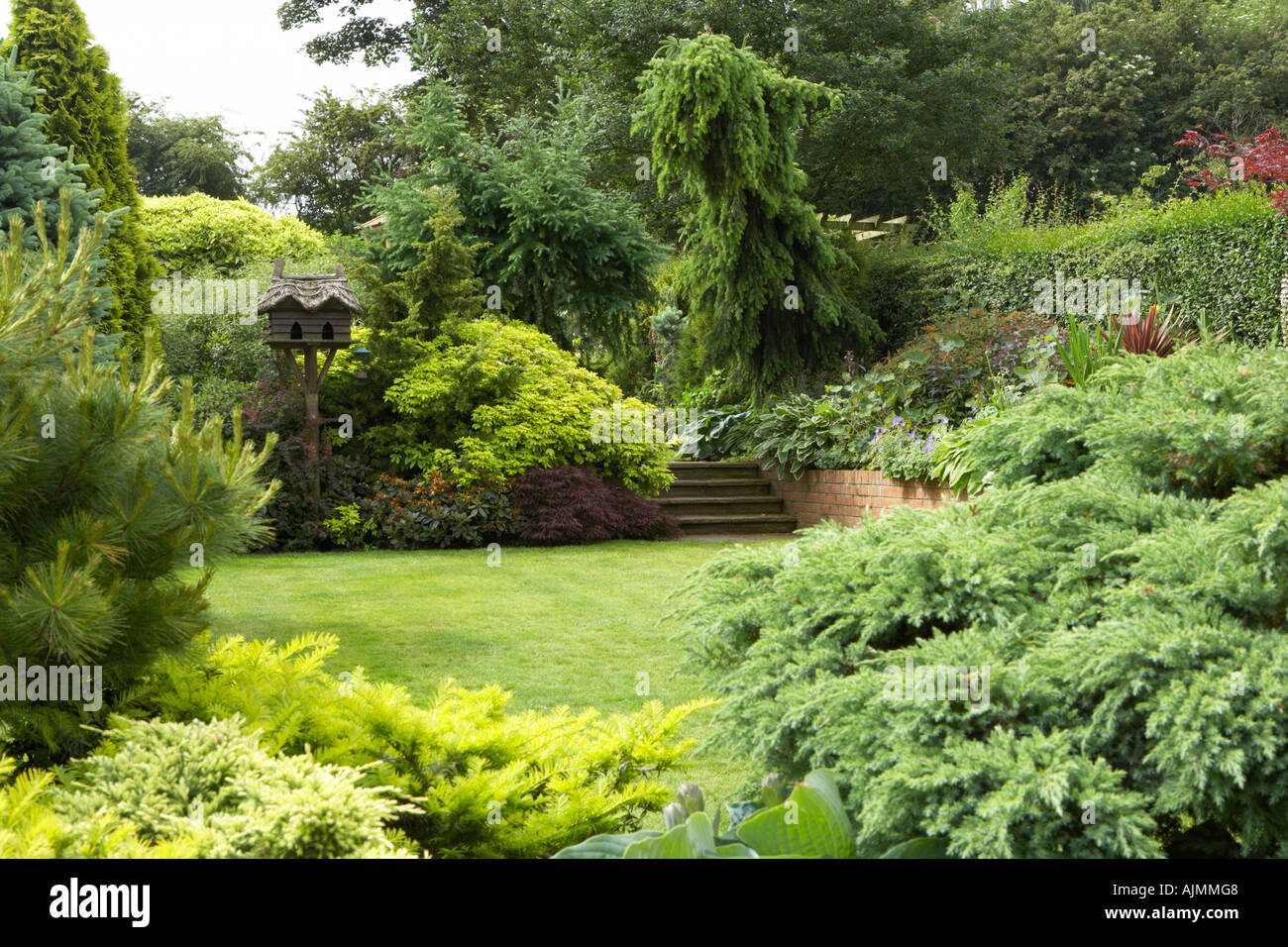 Garden with conifers Stock Photo