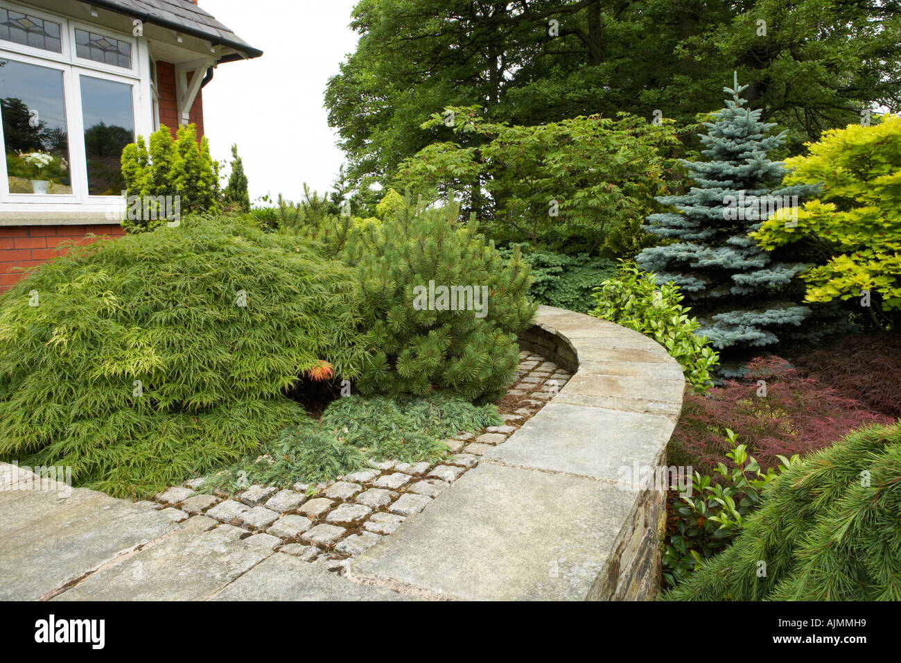 front garden with conifers and hard features Stock Photo