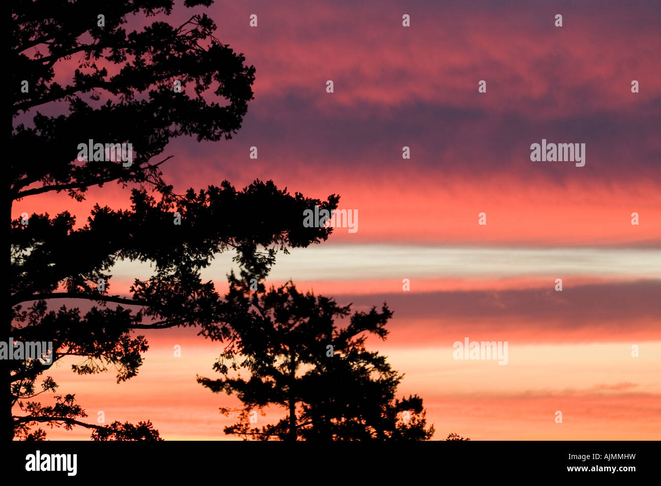 A sunset with a silhouette of a tree Stock Photo - Alamy