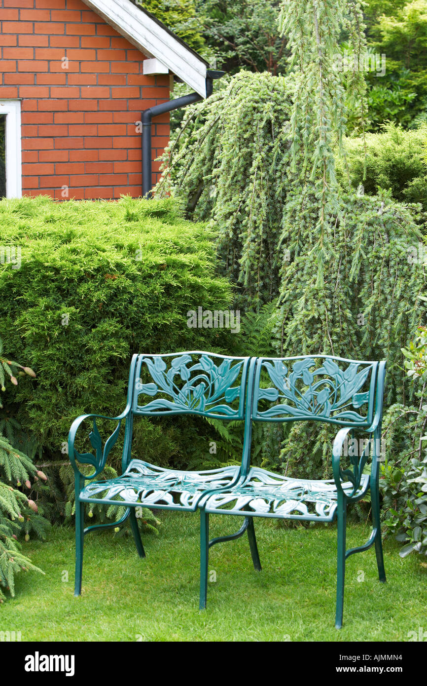 Blue bench with a range of conifers at Cypress House Dalton Stock Photo