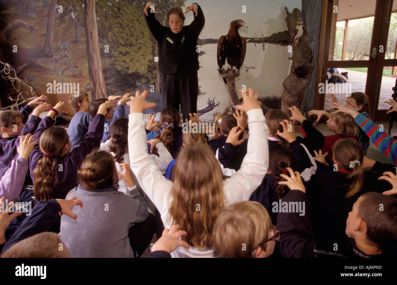 Students learning about bird of prey, Australia Stock Photo