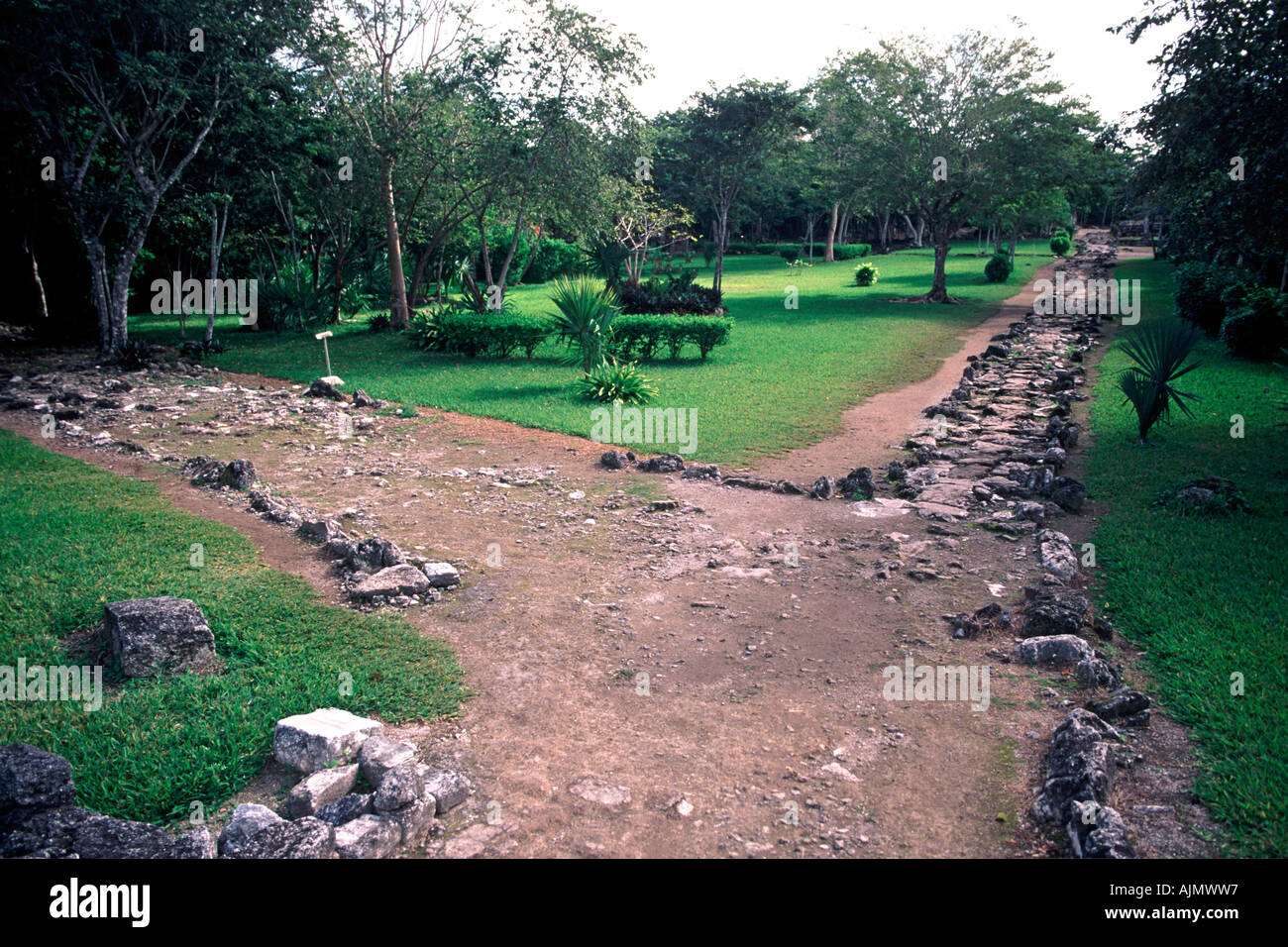 Ruins of the San Gervasio archaeological Mayan ruins site on the island of Cozumel in Mexico. Stock Photo