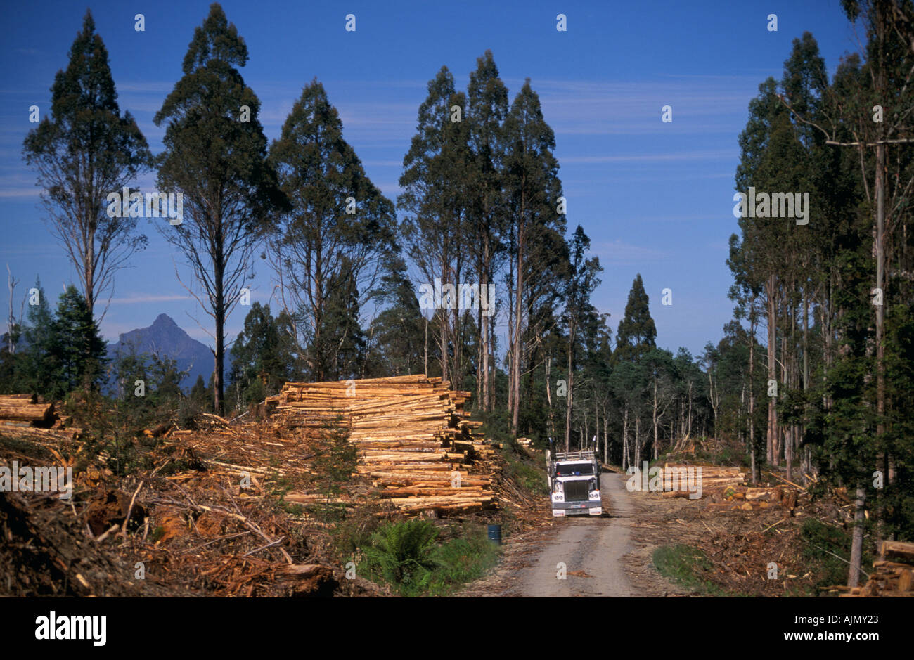 Loader logger logging logging hires stock photography and images Alamy