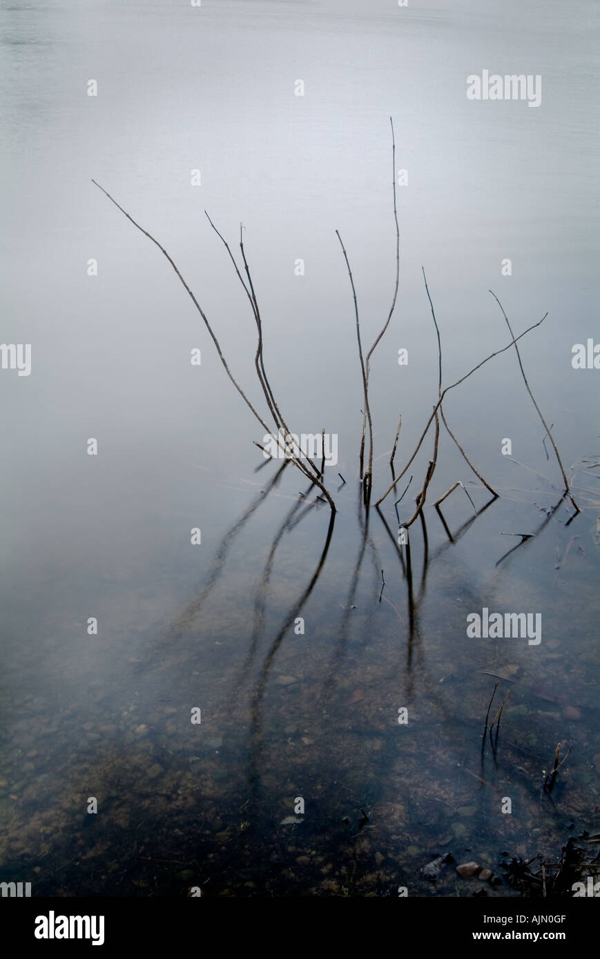 Very still water hi-res stock photography and images - Alamy