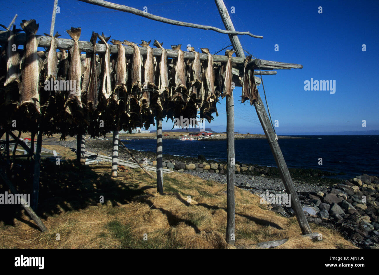 Fish drying Rack Nesseby Finnmark Norway Stock Photo