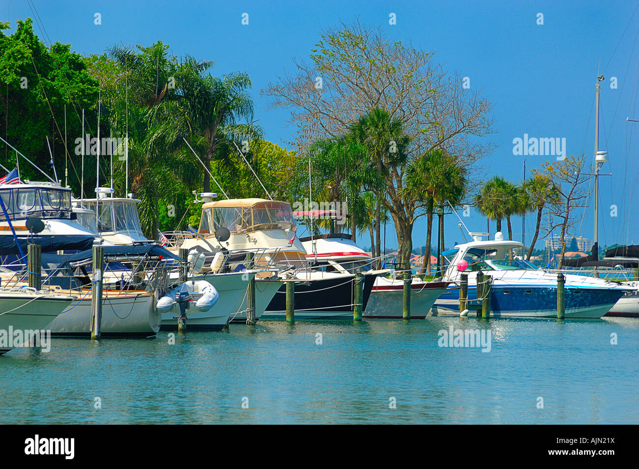 boats in small lagoon on sea sarasota bay front sarasota florida with