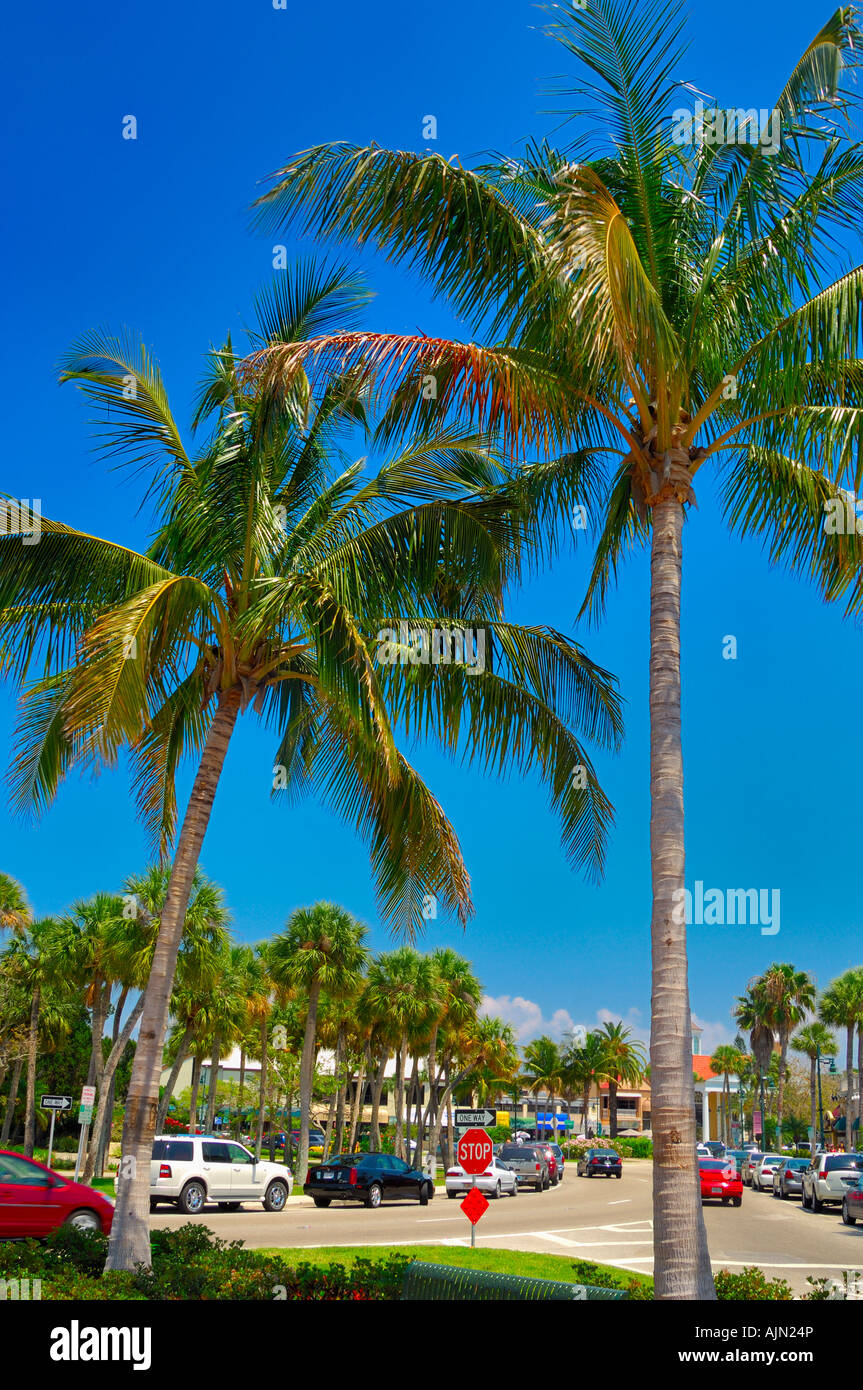 sarasota florida with main roas square and lush exotic palm trees sunny