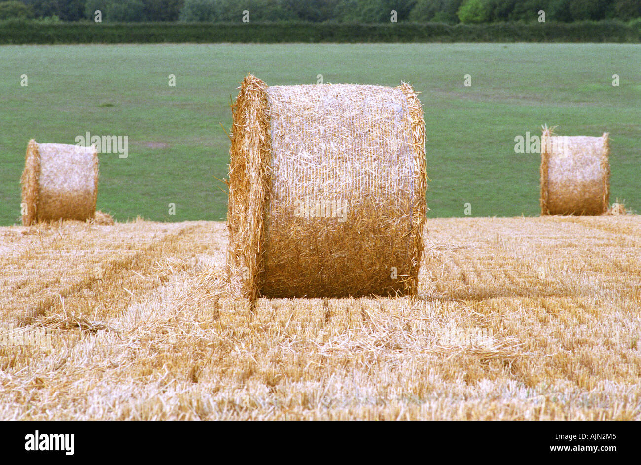 A rolled haystack in a harvested field in Oxfordshire Stock Photo - Alamy