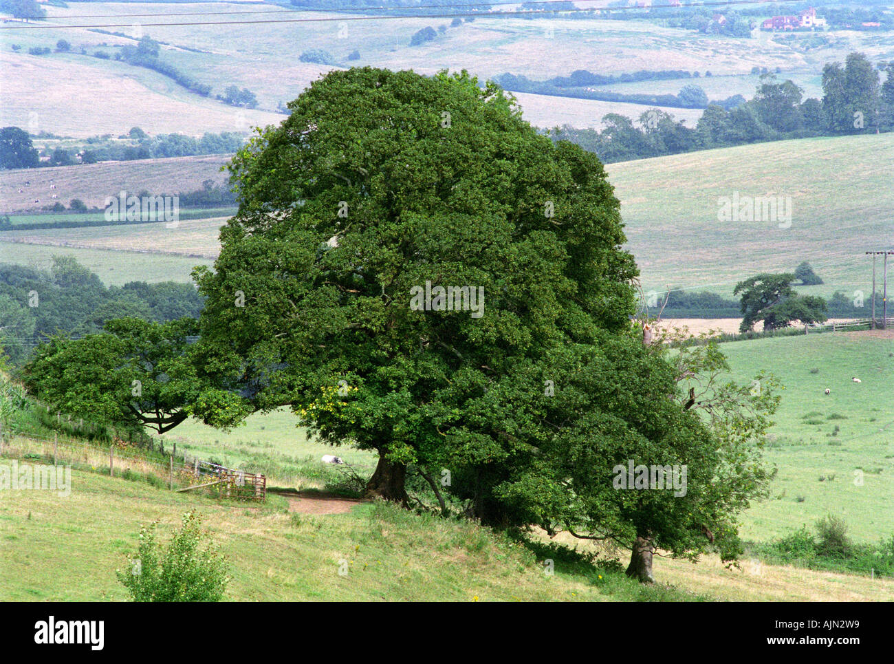 Farmland in Oxfordshire Photo by Troika Stock Photo Alamy
