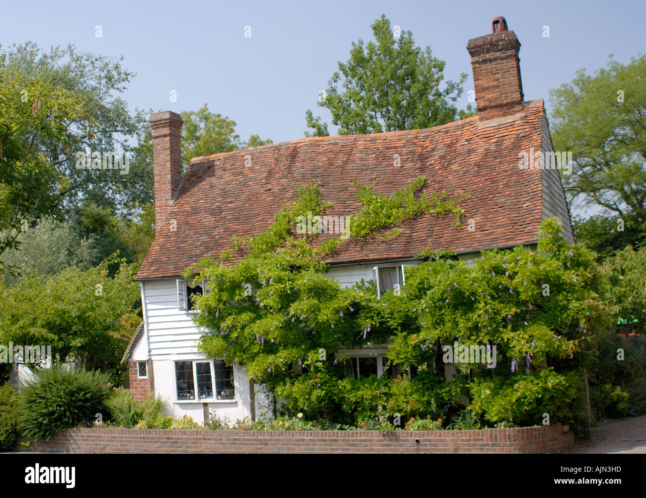 Typical Kent cottage of white weather board and peg tile roof covered in wisteria Smarden Kent UK 21 July 2006 Stock Photo