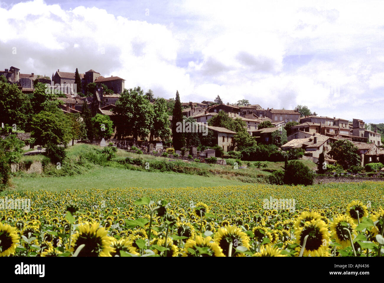 France, Southwest. Medieval town of Bruniquel, a true beauty spot much visited by tourists Stock Photo