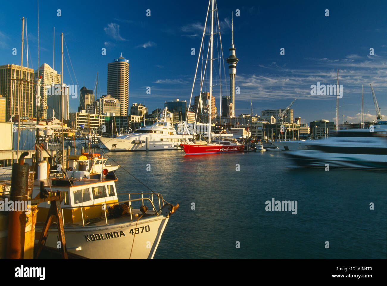 the Sky Tower above the waterfront in Auckland North Island New Zealand Stock Photo