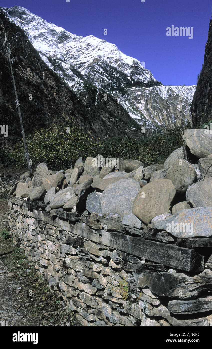 Buddhist mantras and sacred writings on stones in Chame surroundings Annapurna Conservation area Nepal Stock Photo
