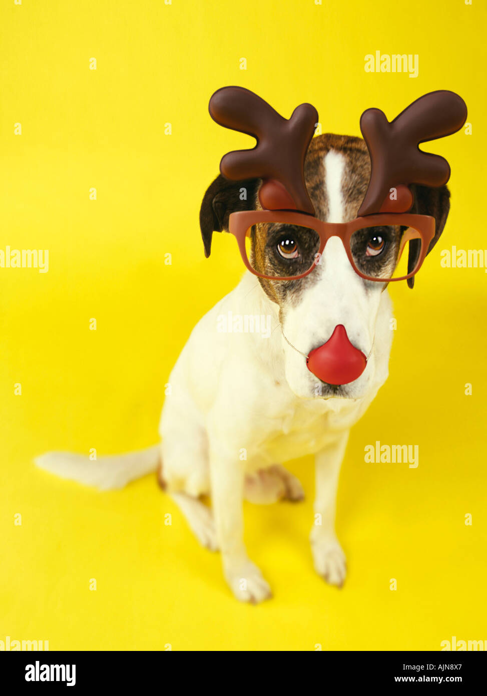 plastic reindeer antlers