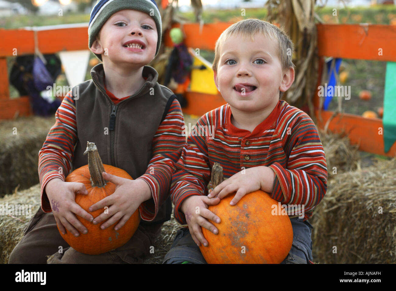 Two young boys with pumpkins Stock Photo