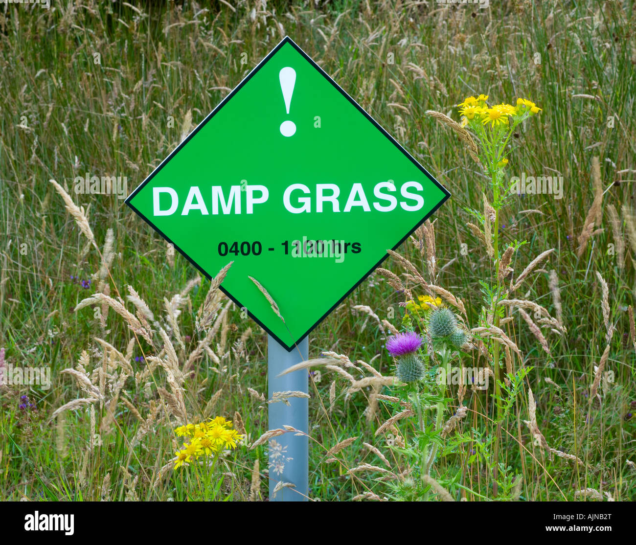 Damp grass warning sign Stock Photo Alamy