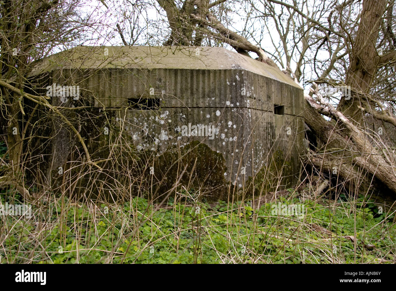 World War 2 Pillbox bunker at Box HIll, Surrey, UK Stock Photo Alamy