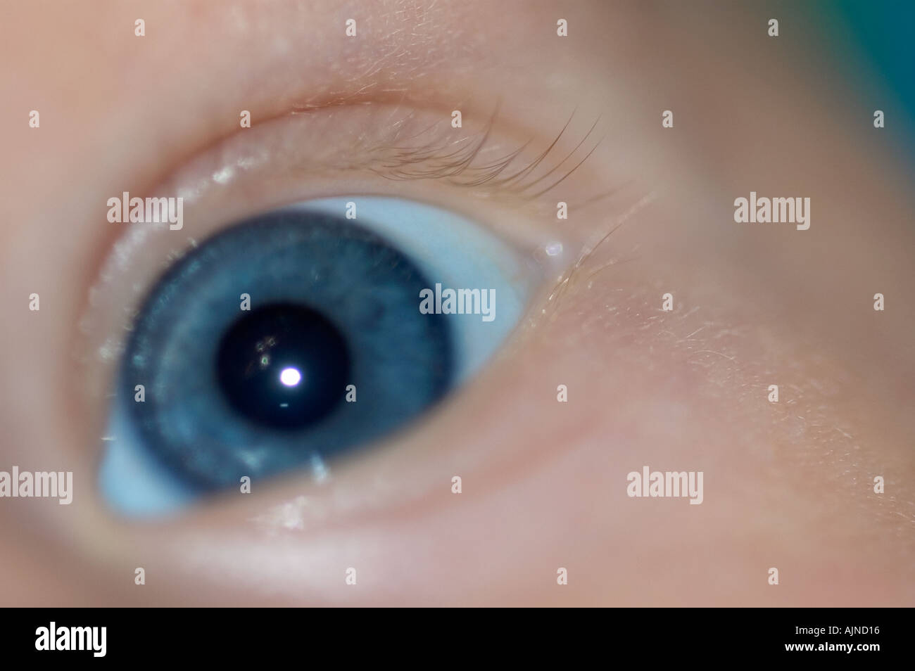 BABY BLUE EYES Stock Photo - Alamy