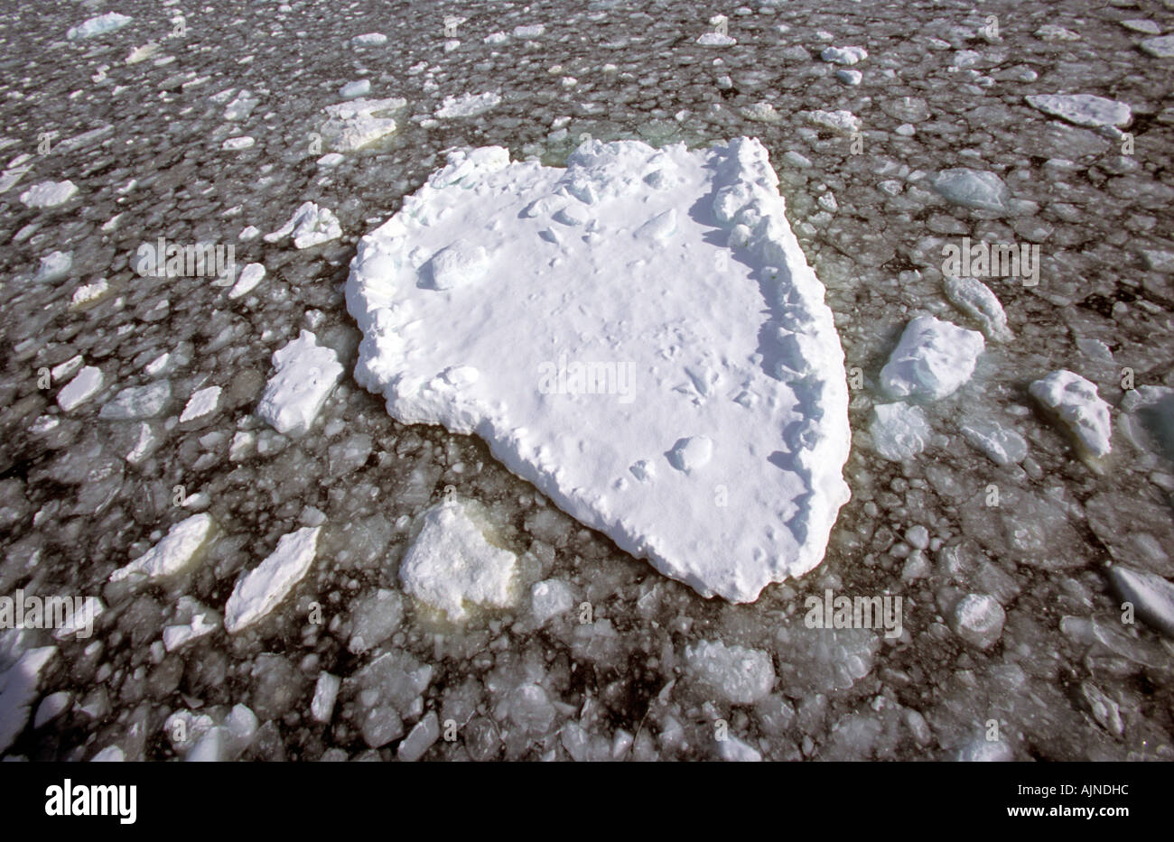 Pancake sea ice in Antarctica Stock Photo Alamy