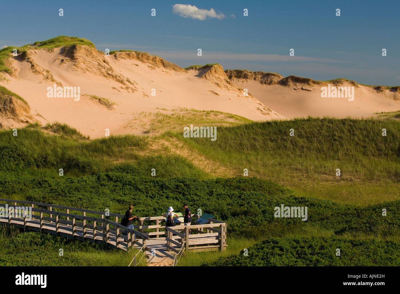 Parabolic dune, Prince Edward Island National Park, Canada Stock Photo