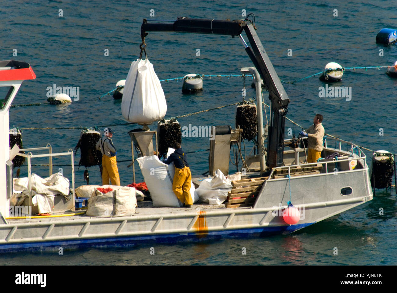 Fish farm support boat working at Killary Harbour, border of counties Mayo and Galway, Ireland