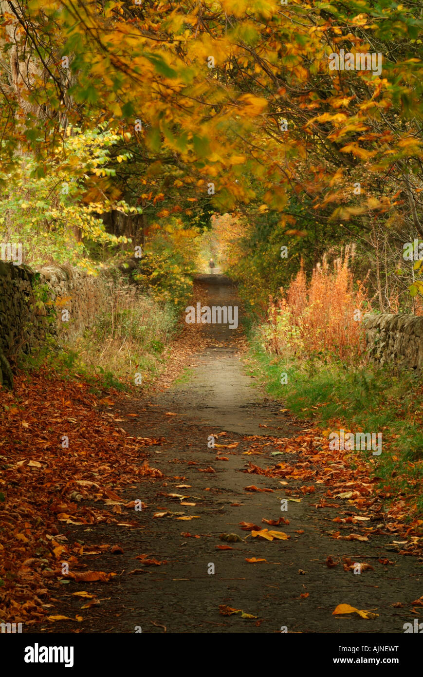 The path to Corstorphine Hill from Ravelstone Dykes Road, Edinburgh Stock Photo
