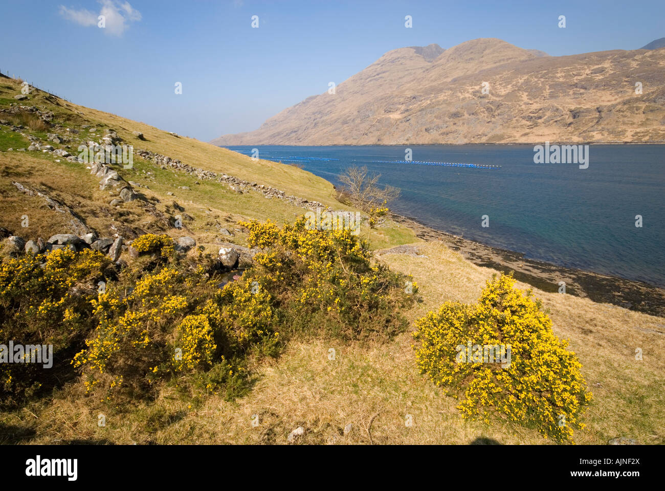 Mweelrea Mountain over Killary Harbour, border of counties Mayo and Galway, Ireland Stock Photo