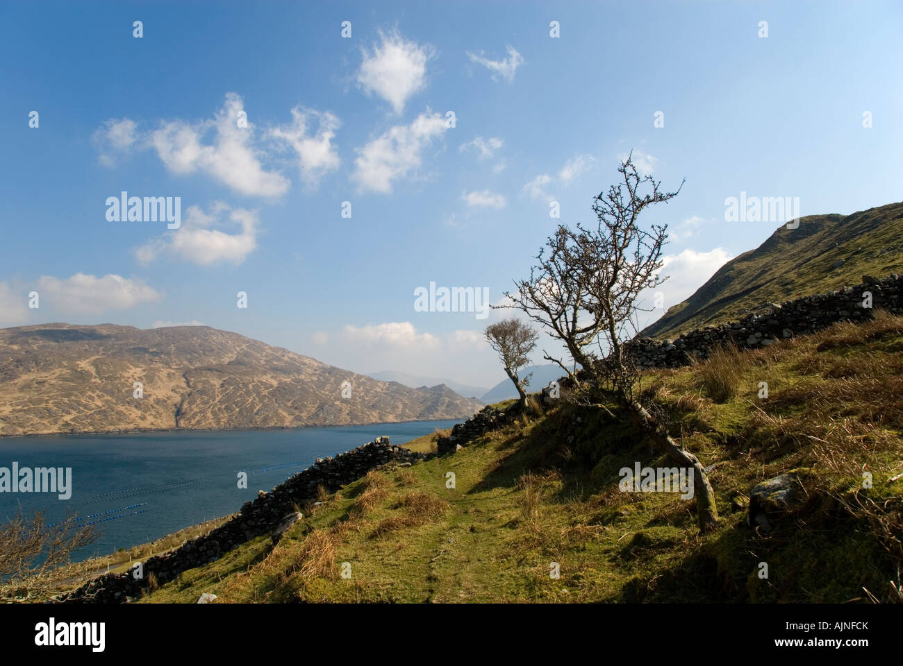 Killary Harbour, border of counties Mayo and Galway, Ireland Stock Photo Alamy