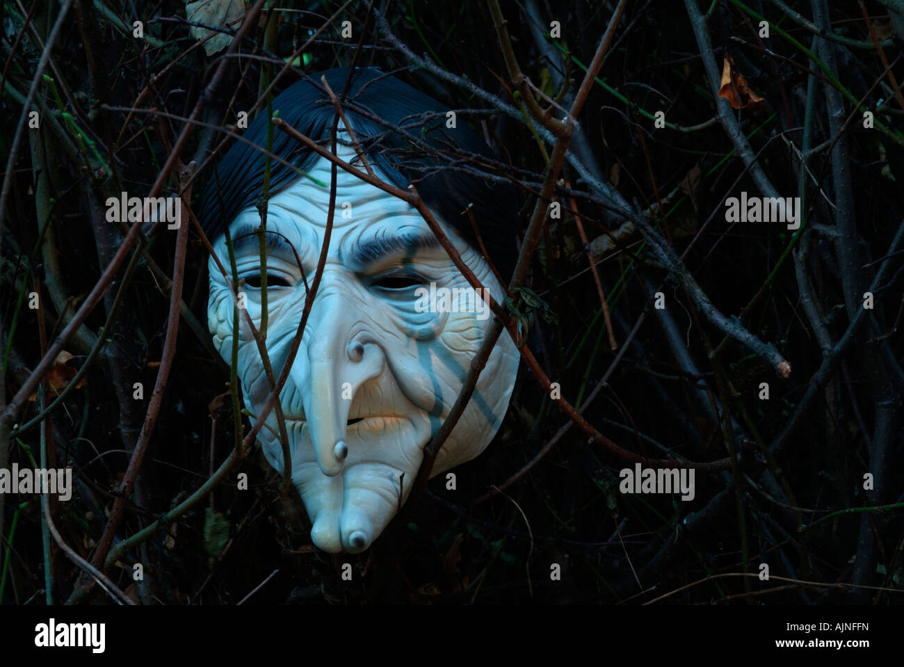 The frightening face of a witch Stock Photo