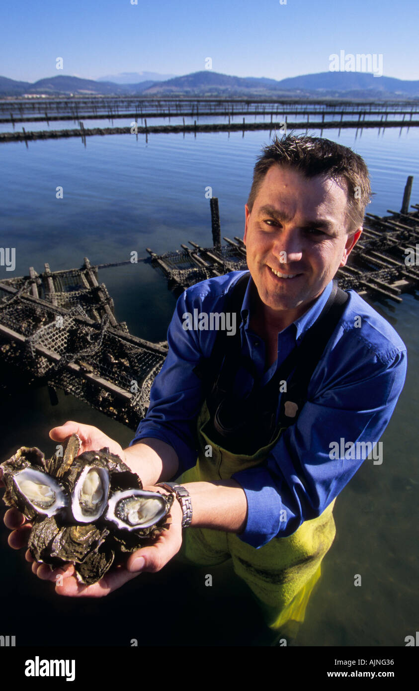Oyster farm Tasmania Australia Stock Photo Alamy