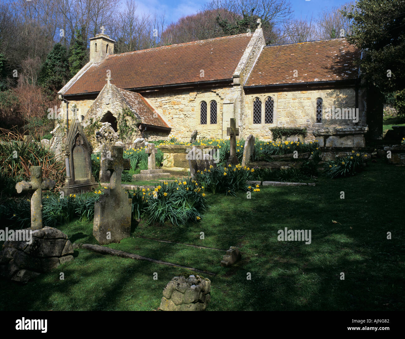 ST BONIFACE OLD CHURCH in SPRING Bonchurch Isle of White England UK Stock Photo