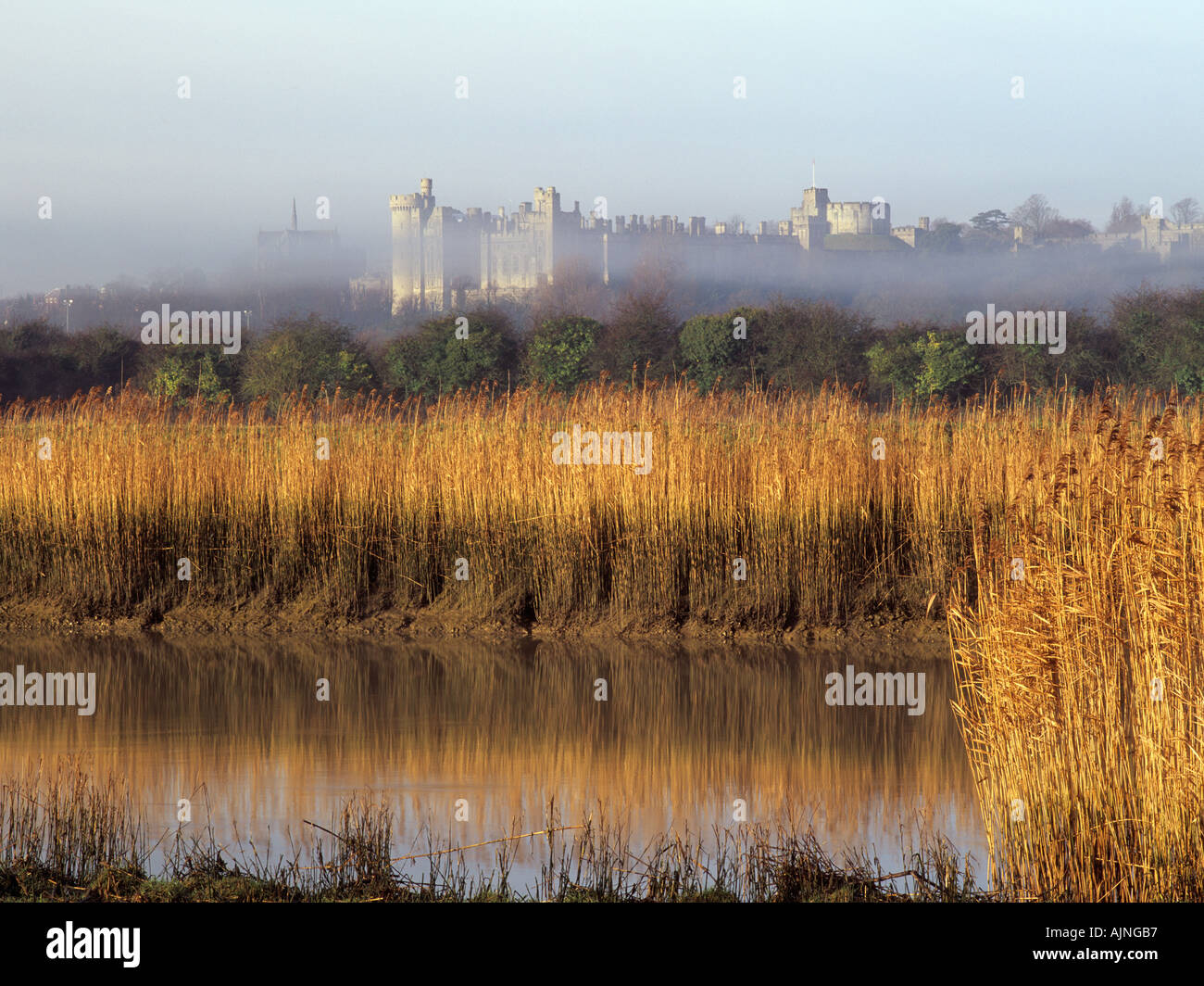 RIVER ARUN and ARUNDEL CASTLE with morning mist in the valley in winter Arundel West Sussex England UK Stock Photo