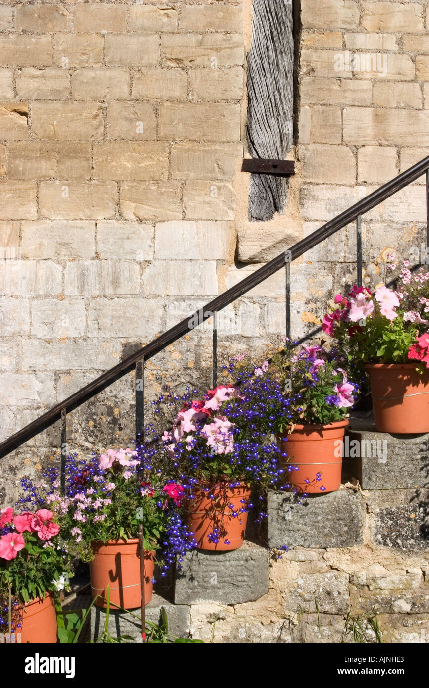 Pretty Summer Flowers in Pots on Steps at Barton Farm Country Park