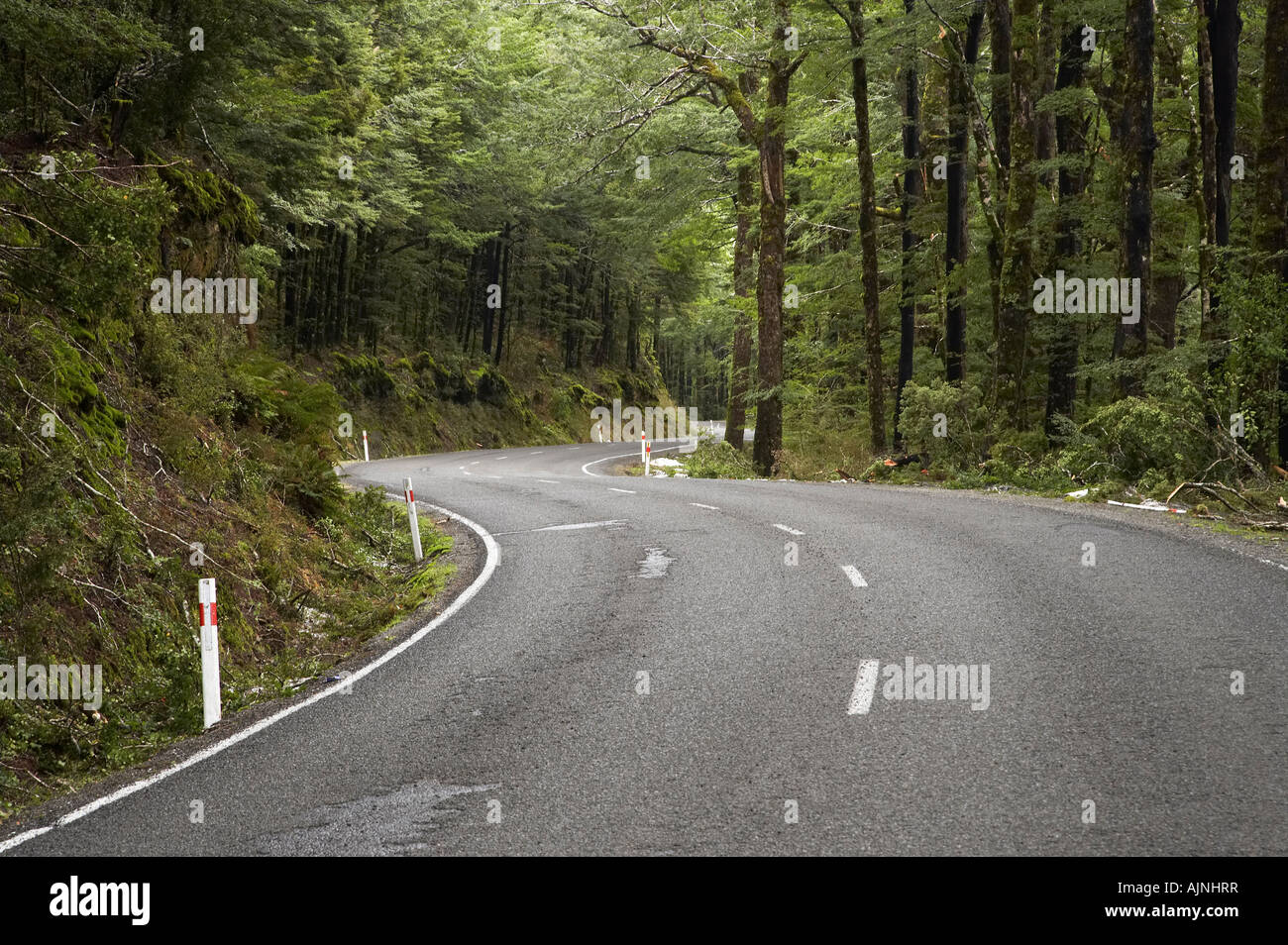 S Curve Lewis Pass Road West Coast South Island New Zealand Stock Photo