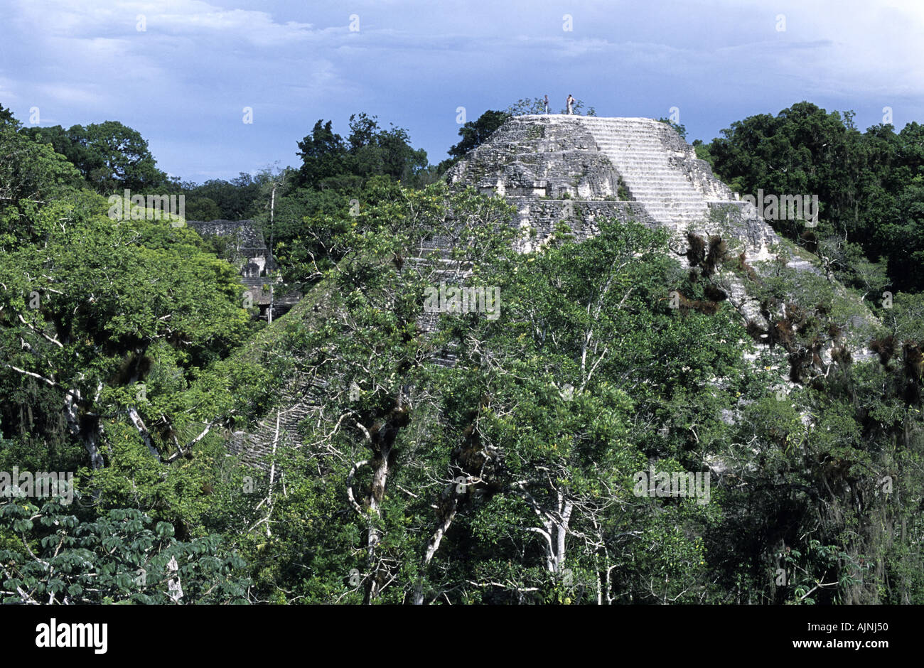 The Mayan Ruins Of Tikal Guatemala Stock Photo - Alamy