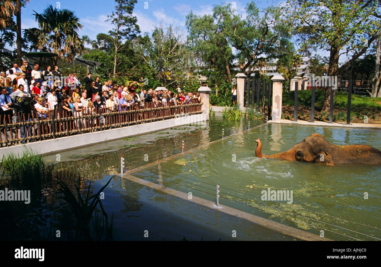 Melbourne Zoo elephant enclosure Melbourne Victoria Australia
