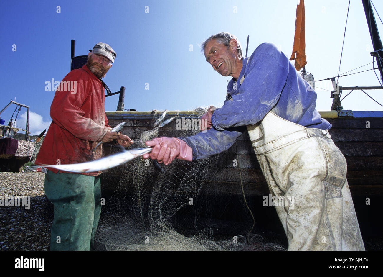 Fishermen sorting Mackerel catch Hastings England Stock Photo