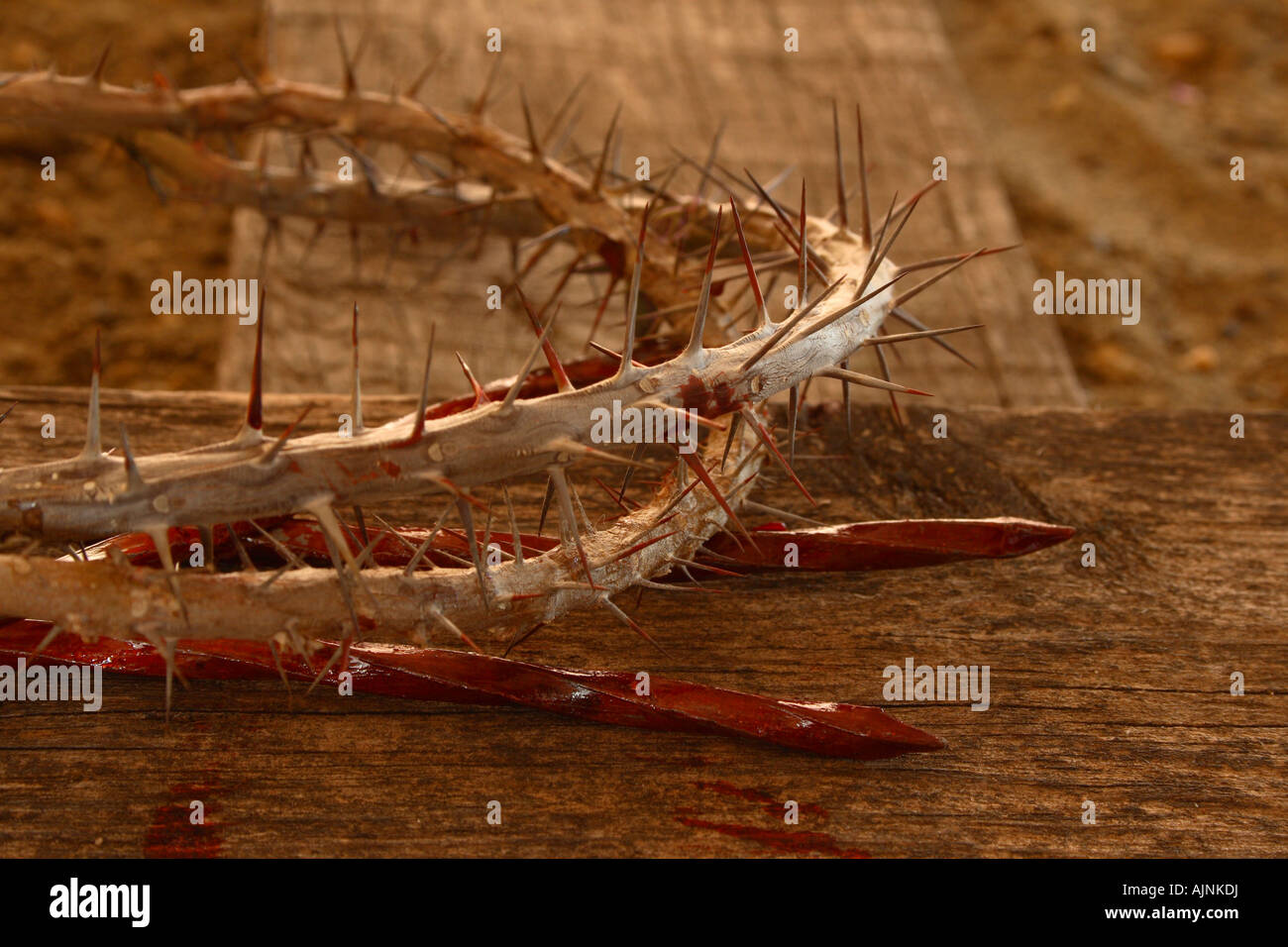 Crown thorns nails hi-res stock photography and images - Alamy