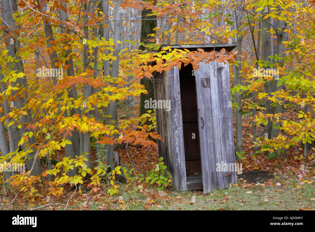 Outhouse hires stock photography and images Alamy
