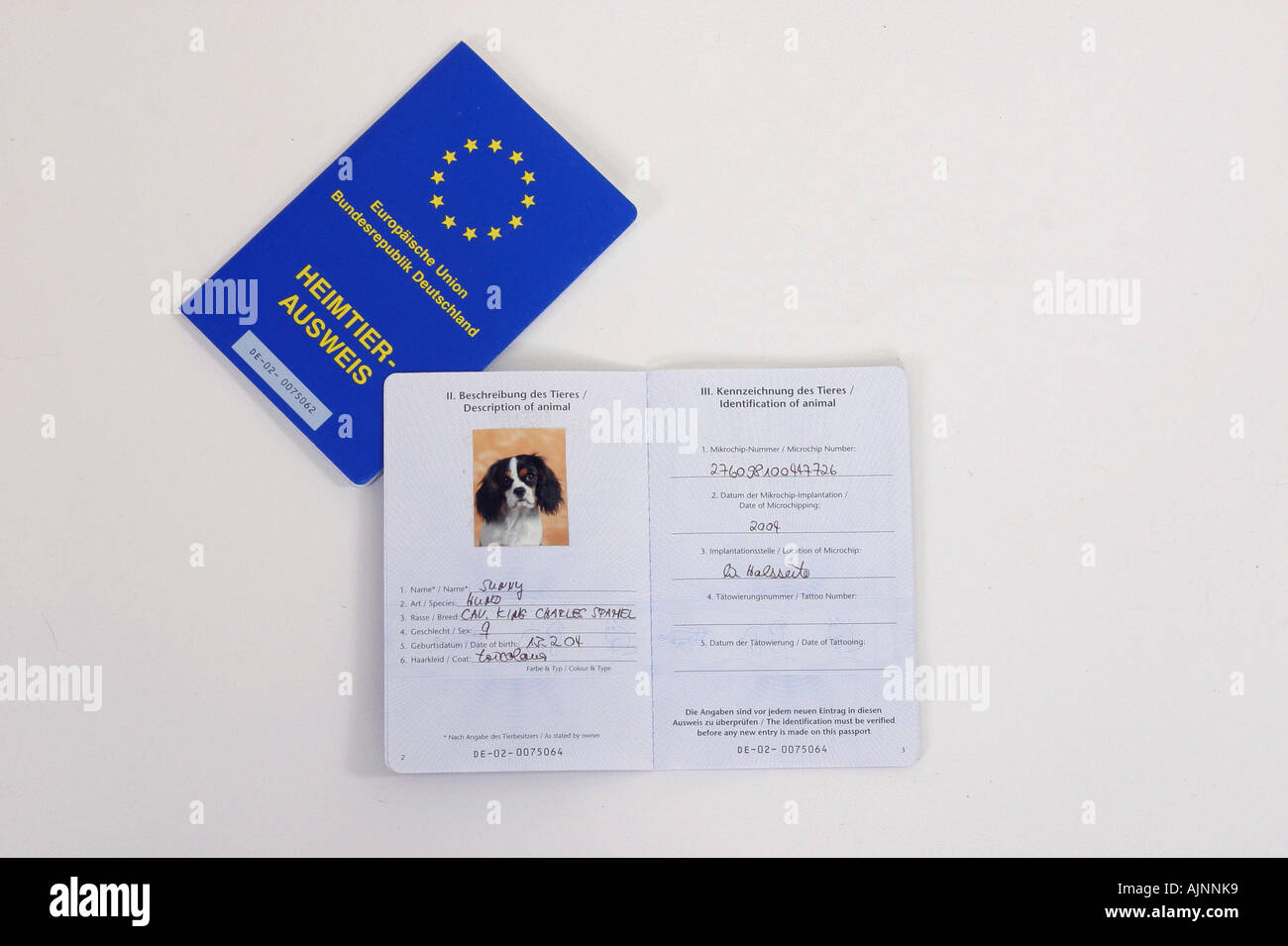 Vaccination card for pets Germany cut out object Stock Photo