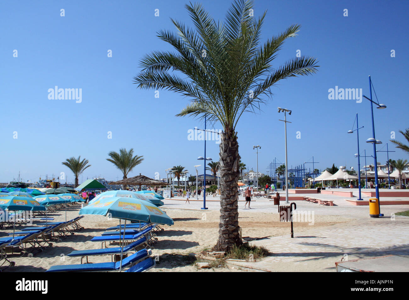 Ayia Napa habour in tourist resort on island of Cyprus. You can see the palm tree lined promenade Stock Photo