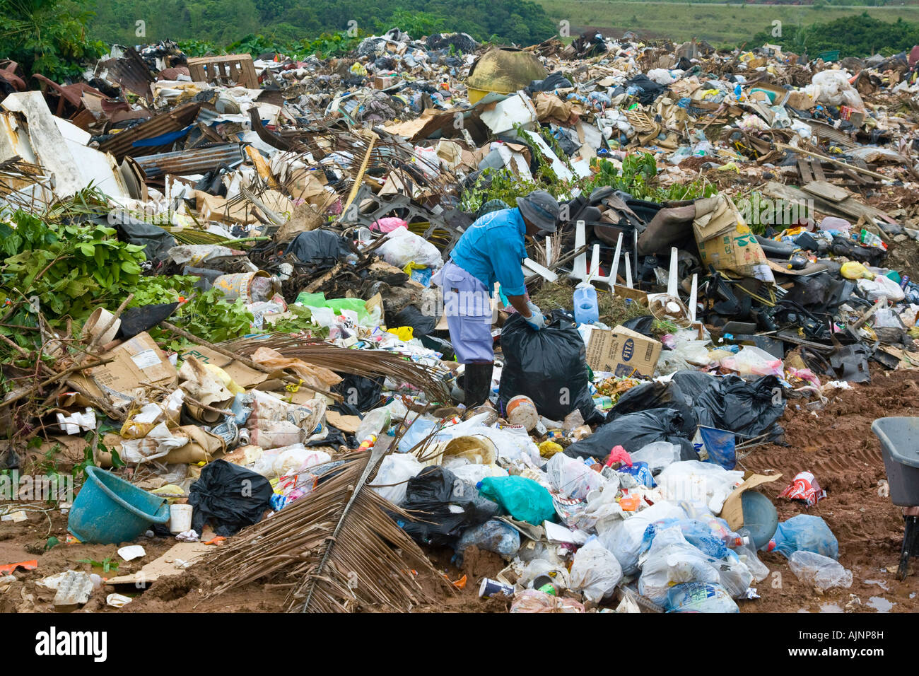 Poor Man Scavanging through a Garbage Dump on Palau Island Stock Photo